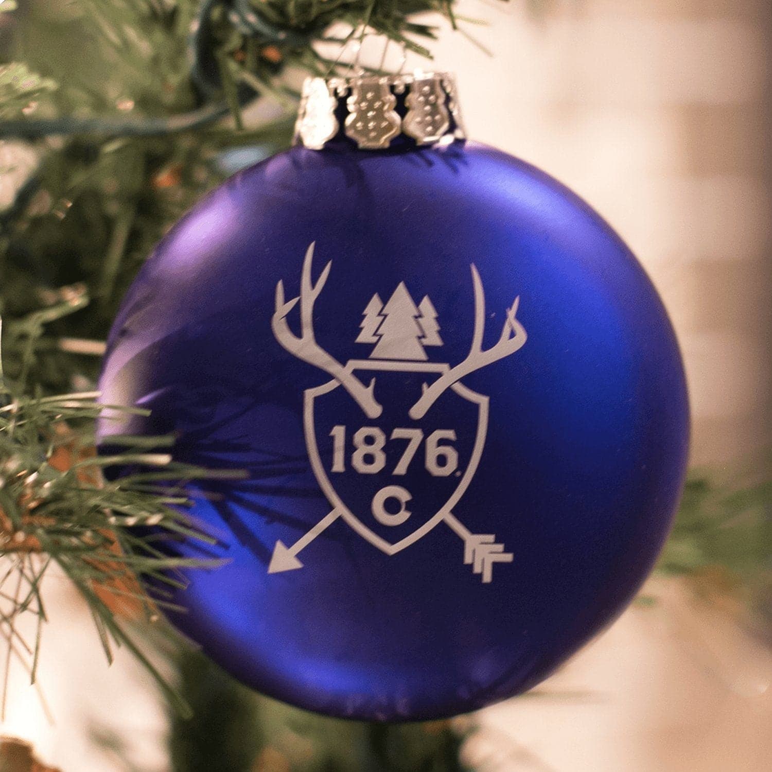 1876 Trophy Ornament - 1876 | The State of Exploration