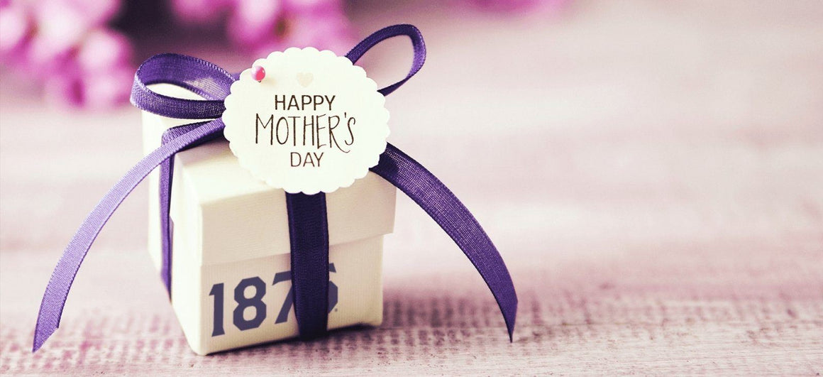 Mother's Day | 1876 | The State of Exploration